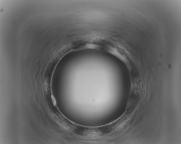 X0000062930597200601181311