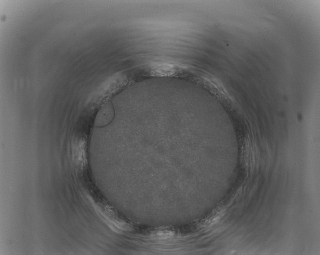 X0000062930598200601181311