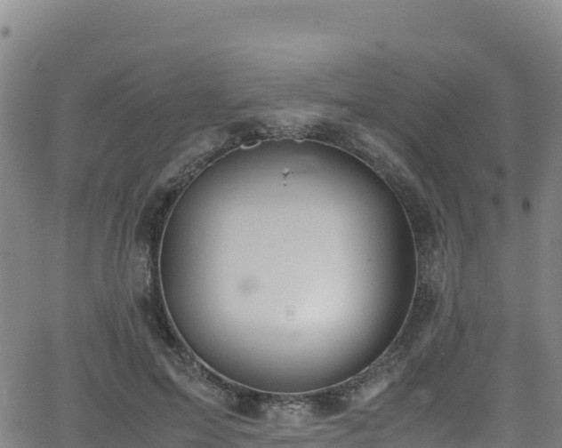 X0000062930599200601181311