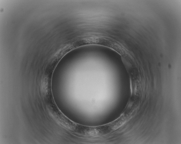 X0000062930600200601181311