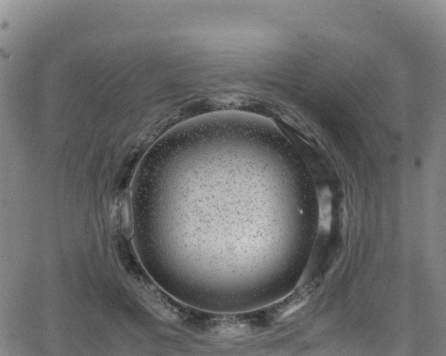 X0000062930601200601181311