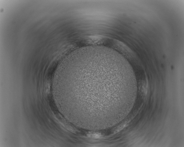 X0000062930602200601181311