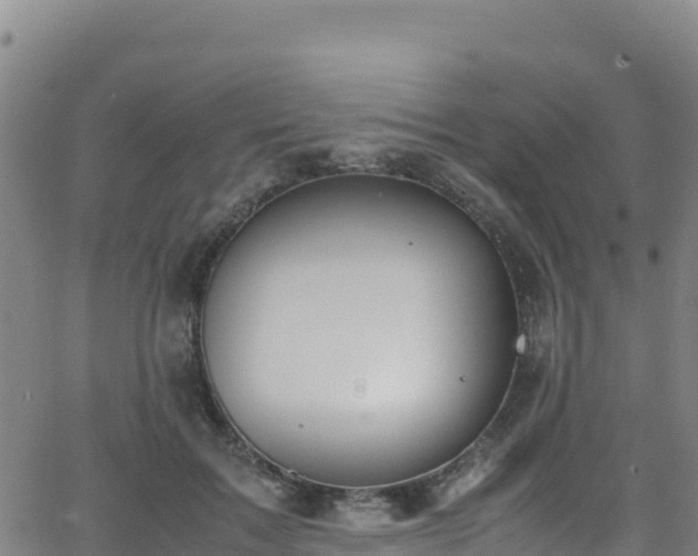 X0000062930603200601181311