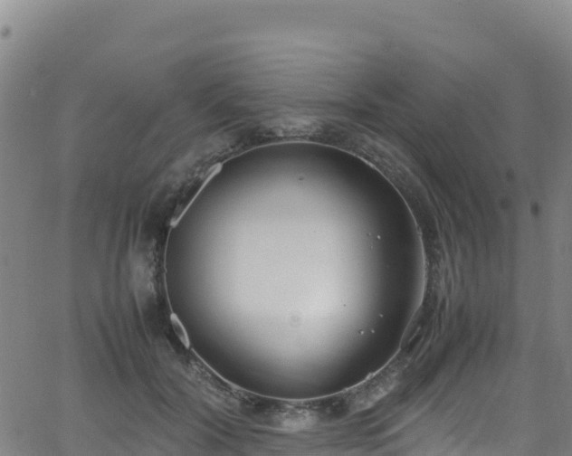 X0000062930604200601181311