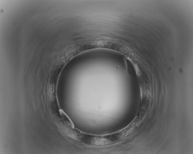 X0000062930605200601181311