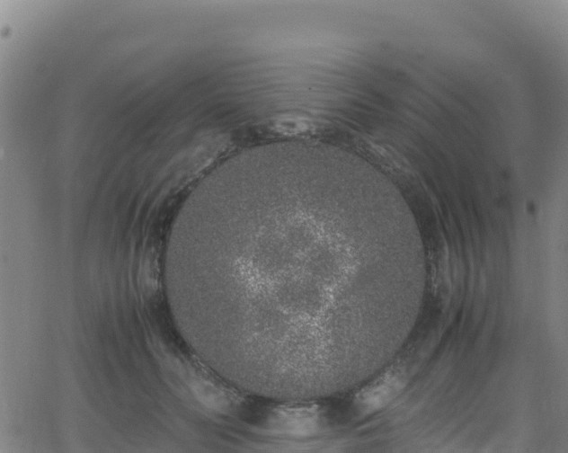 X0000062930606200601181311