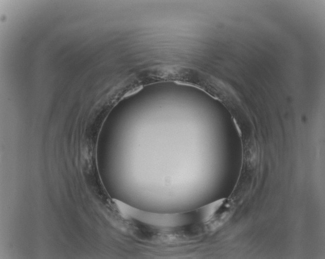 X0000062930607200601181311