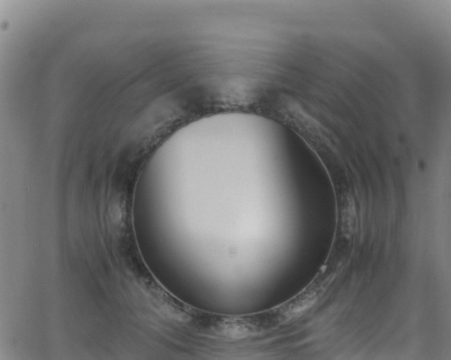 X0000062930608200601181311