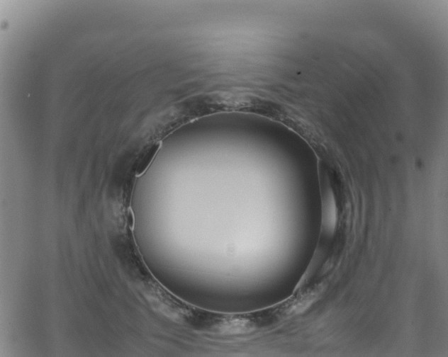 X0000062930609200601181311