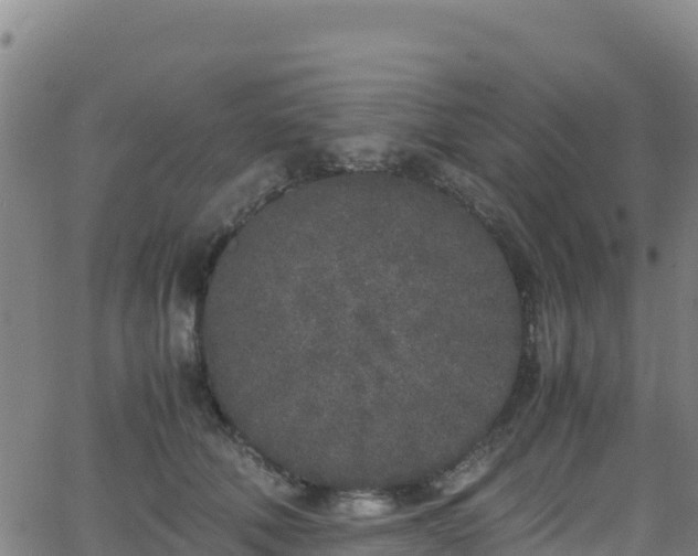 X0000062930610200601181311