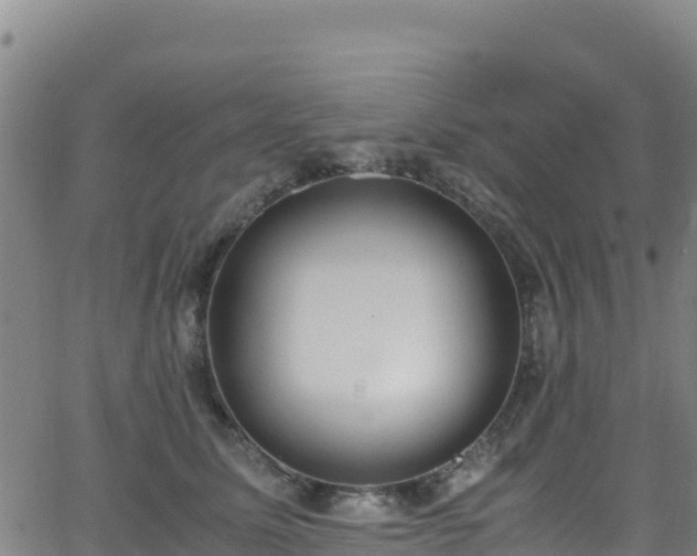 X0000062930611200601181311