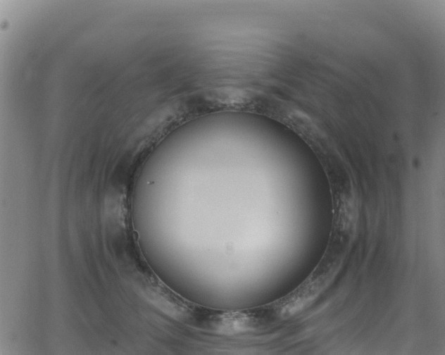 X0000062930612200601181311