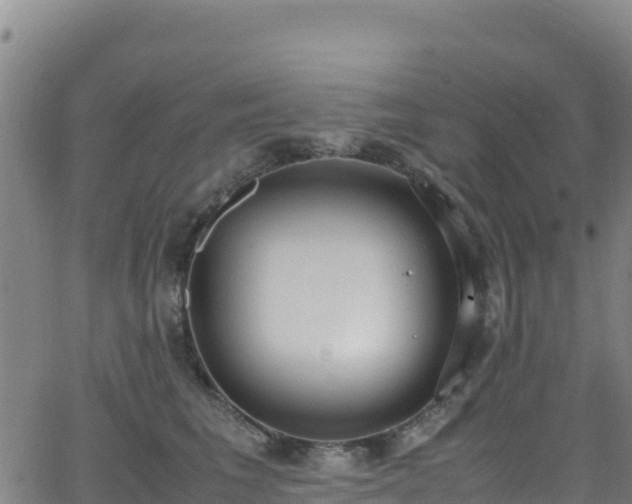 X0000062930613200601181311