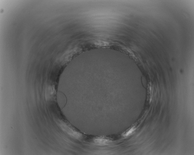 X0000062930614200601181311