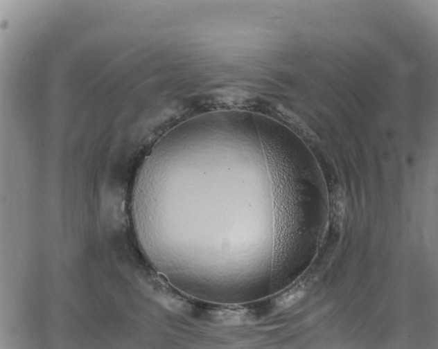 X0000062930615200601181311