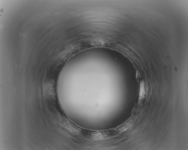 X0000062930616200601181311