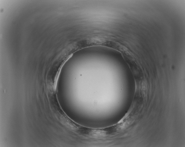 X0000062930617200601181311