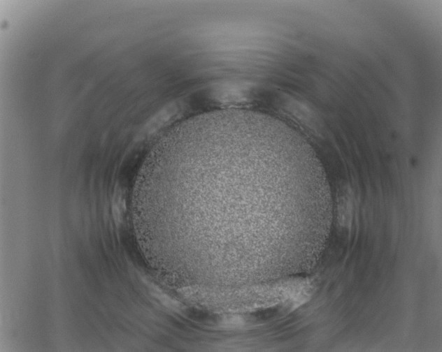 X0000062930618200601181311