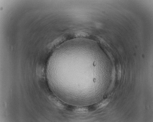 X0000062930619200601181311