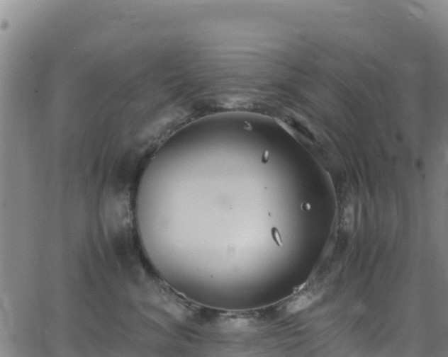 X0000062930620200601181311