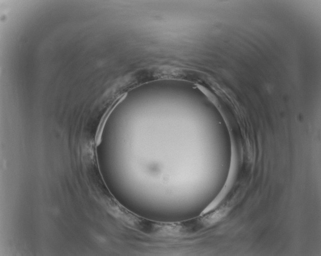 X0000062930621200601181311