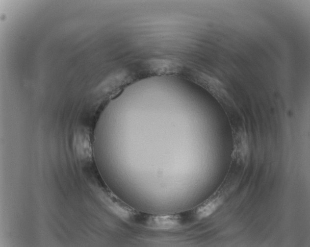 X0000062930622200601181311