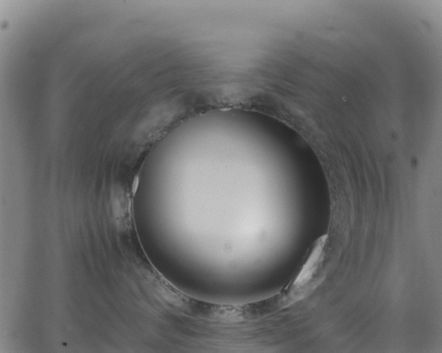 X0000062930624200601181311