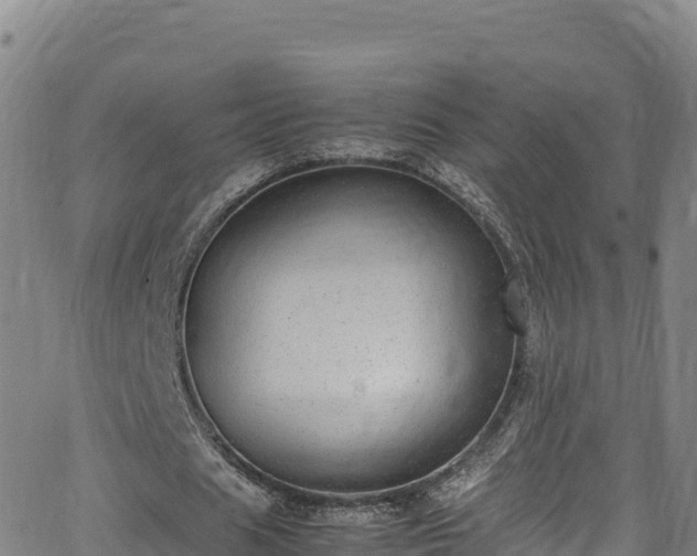 X0000062930625200601181310