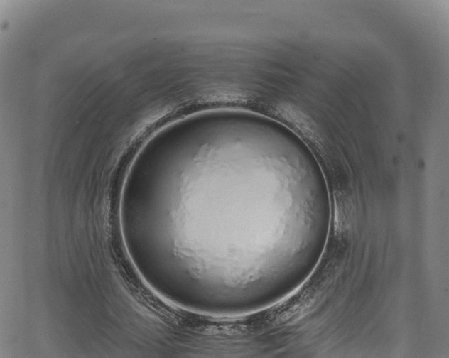 X0000062930627200601181310