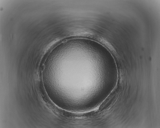 X0000062930628200601181310