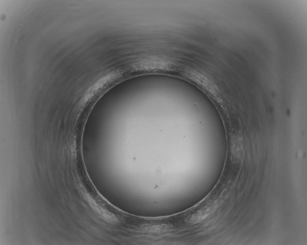 X0000062930629200601181310