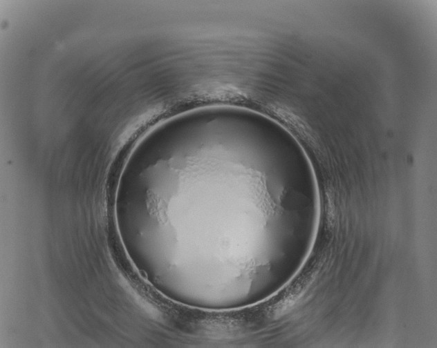 X0000062930630200601181310