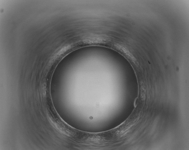 X0000062930631200601181310