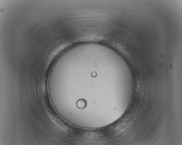 X0000062930632200601181310