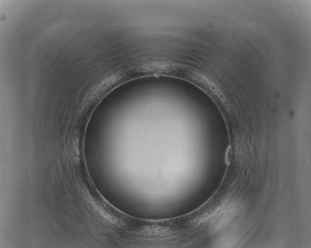 X0000062930633200601181310