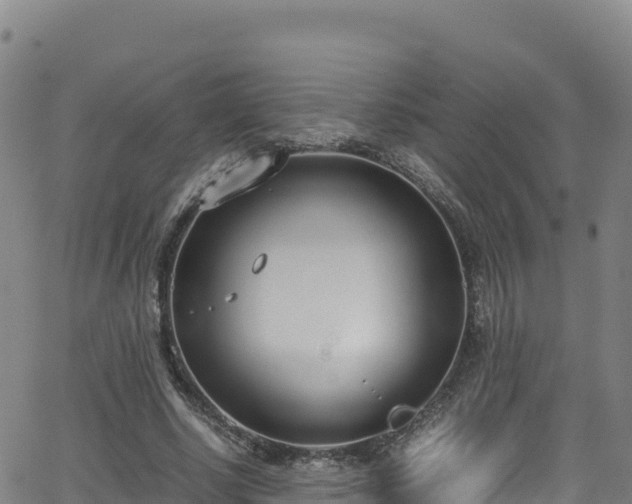 X0000062930634200601181310