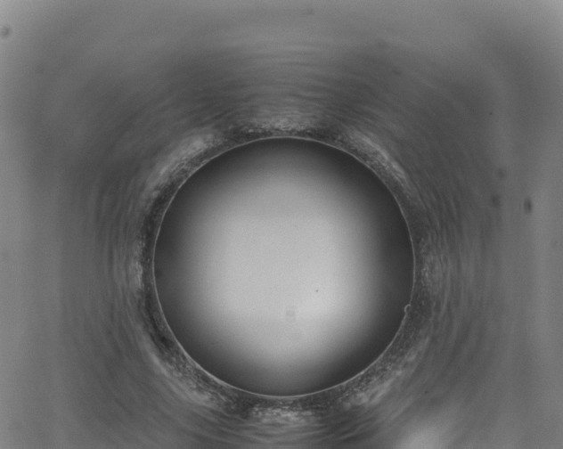 X0000062930635200601181310