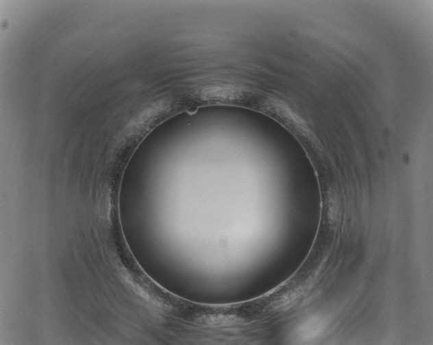 X0000062930637200601181310