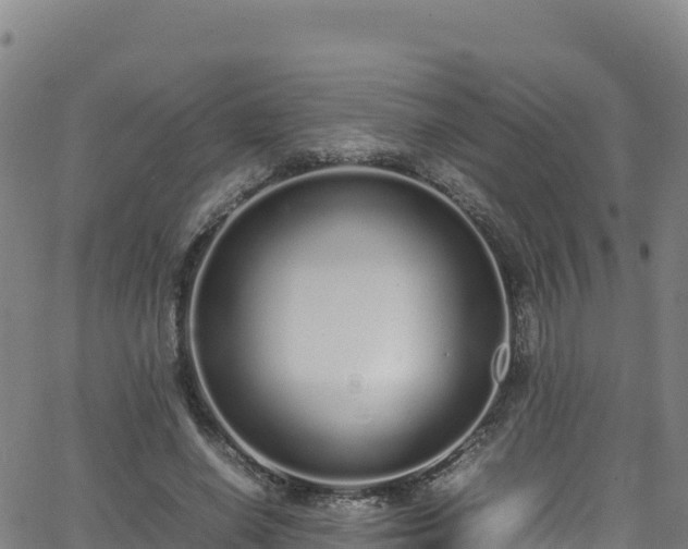 X0000062930638200601181310