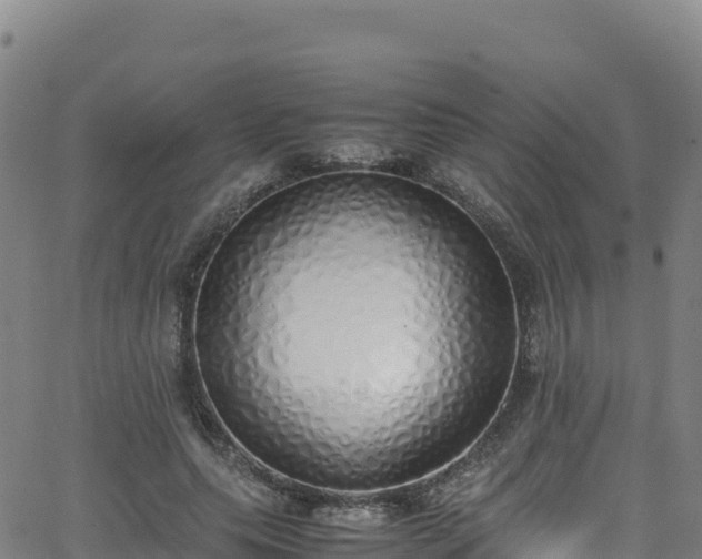 X0000062930639200601181310