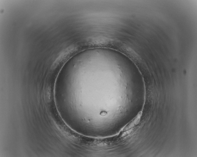 X0000062930640200601181310