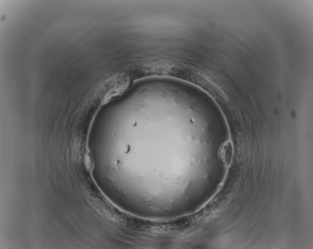 X0000062930641200601181310