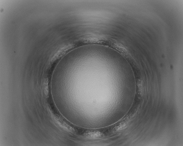 X0000062930642200601181310