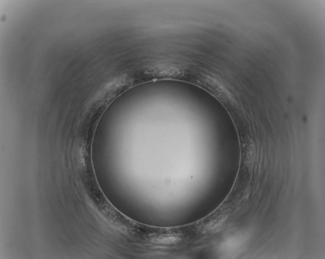 X0000062930643200601181311