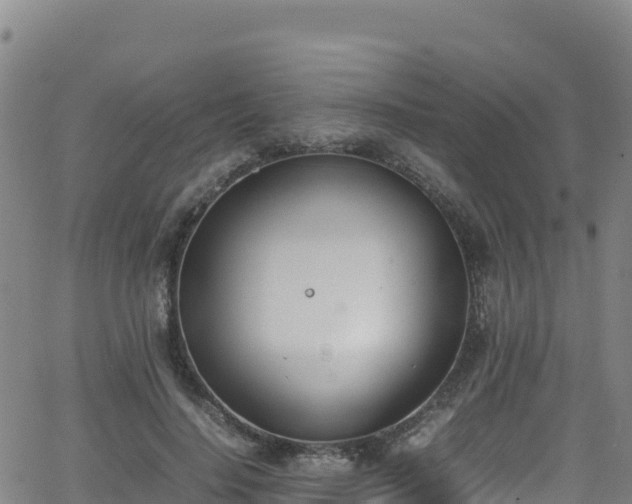 X0000062930644200601181311