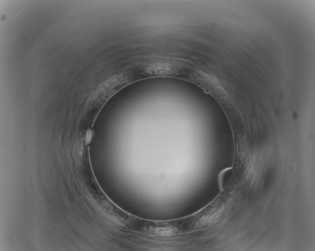 X0000062930645200601181311