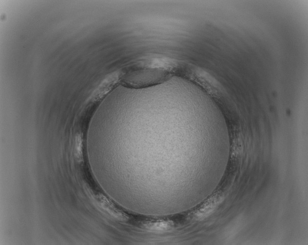 X0000062930646200601181311