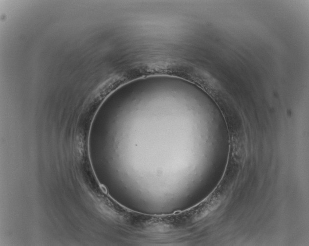 X0000062930648200601181311