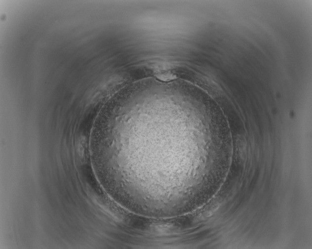 X0000062930650200601181311