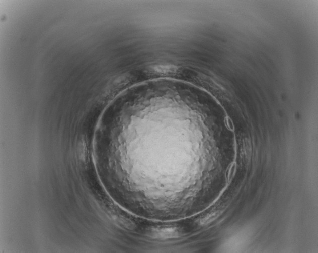 X0000062930651200601181311